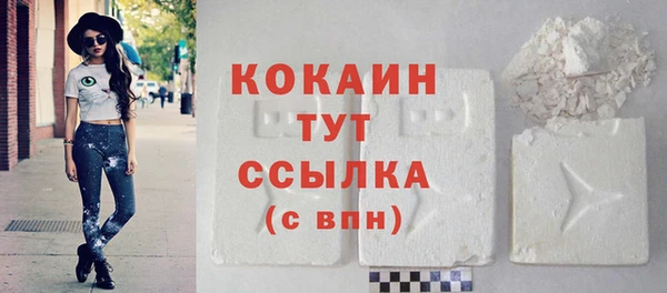 стаф Абинск