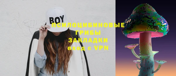 ГАЛЛЮЦИНОГЕННЫЕ ГРИБЫ Абдулино