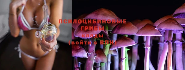 ГАЛЛЮЦИНОГЕННЫЕ ГРИБЫ Абдулино