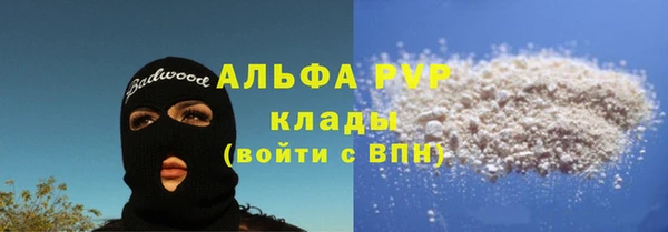 стаф Абинск