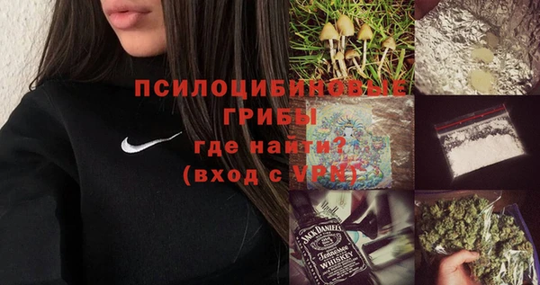 ГАЛЛЮЦИНОГЕННЫЕ ГРИБЫ Абдулино