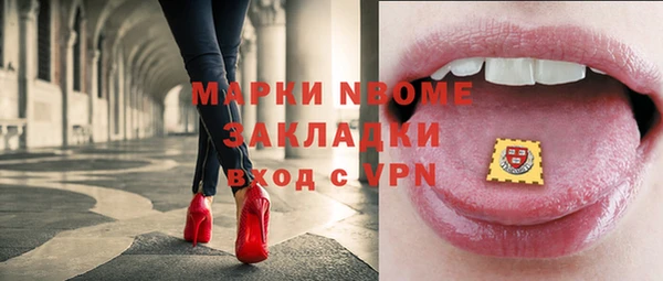 стаф Абинск
