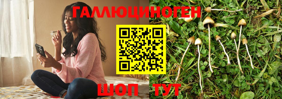 Галлюциногенные грибы GOLDEN TEACHER  Псилоцибиновые грибы Psilocybe  Вход с VPN  Лосино-Петровский 