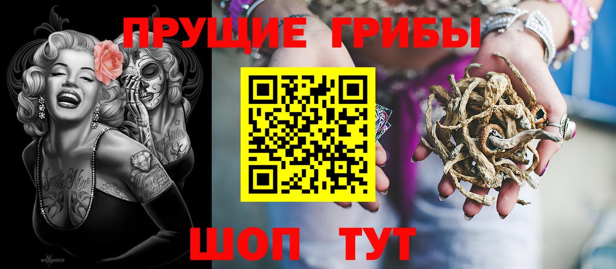 Псилоцибиновые грибы Psilocybine cubensis Лосино-Петровский